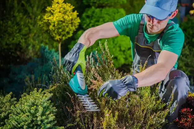 landscaping services Fort Plain